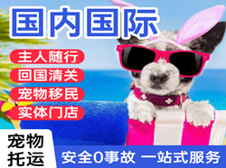 忻州五台山机场邮寄国际宠物托运 【国